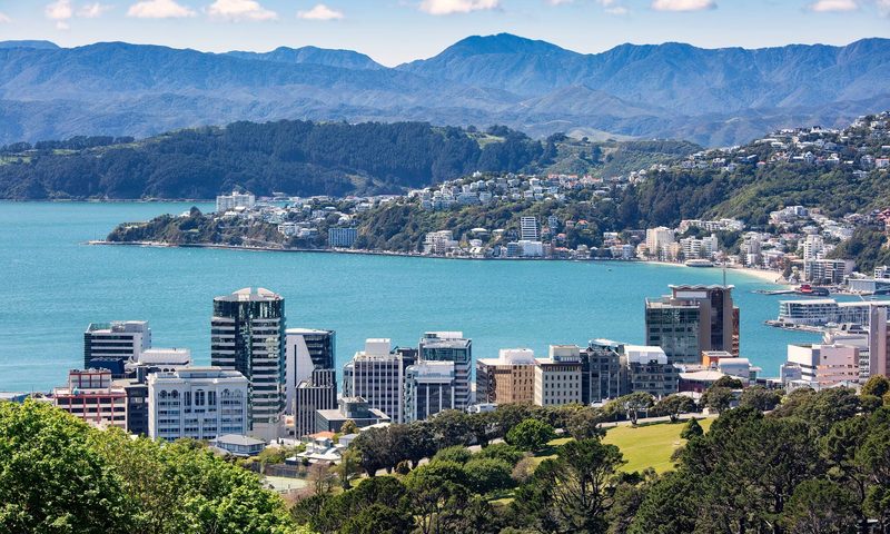Wellington harbour and city — study in New Zealand